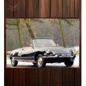 Металлическая табличка Citroen DS 19 Cabriolet 176